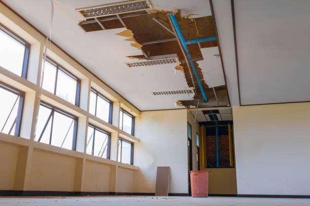 Best Water damage cleanup near me  in Olivet, NJ