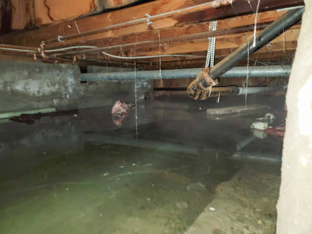 Best Fire Damage Restoration  in Olivet, NJ