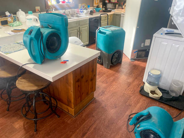 Best Professional water damage repair  in Olivet, NJ