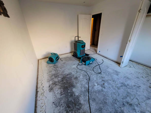 Best Ceiling water damage repair  in Olivet, NJ