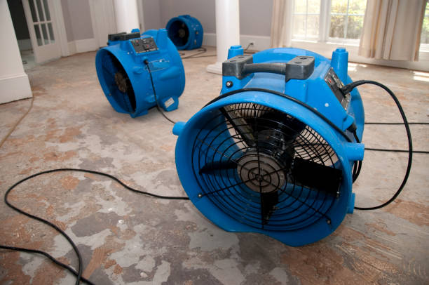  Olivet, NJ Water damage restoration Pros