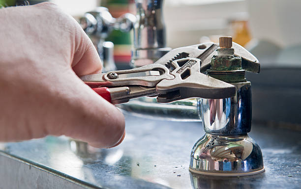 Best Mold removal after water damage  in Olivet, NJ