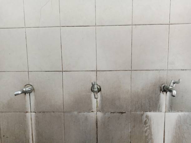 Best Water damage restoration near me  in Olivet, NJ