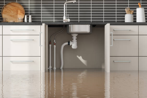 Best Water damage restoration near me  in Olivet, NJ