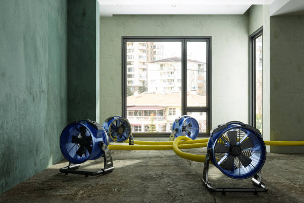 Best Sewage cleanup and water damage restoration  in Olivet, NJ