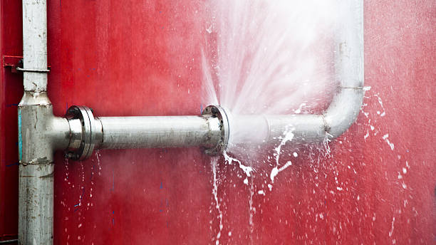 Best Water damage restoration process  in Olivet, NJ